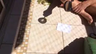 Sun reflection video