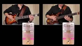 Dreamscape fuzz by Petersen Engineering / Demo by Abel Franco