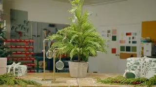 Holiday DIYs with Magnolia - Official Trailer | Workshops | Magnolia Network
