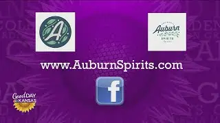 It's Wine Time - Auburn Wine & Spirits - Non Alcoholic Wine