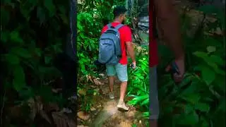 Discovering the Enchanting Goraka Ella Hike - A Nature Lover's Paradise | ගොරකා ඇල්ල | අමිතිරිගල