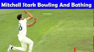 Mitchell Stark Bowling And Bathing
