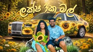 ලක්ෂ 3ක මල් තියෙන වත්තක් 😳🌻 | Taupiri Sunflower Farm | මේක නම් පිස්සුවක් | New Zealand | Mev & Pasi