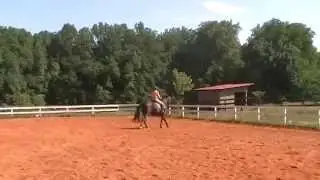 Randi Thompson.1st and 2nd level canters. Bending, Counter canter, half pass. Dressage