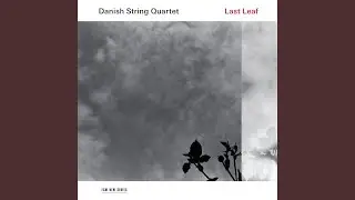 Traditional: Now Found Is the Fairest of Roses (Arr. Danish String Quartet)