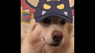 happiest bat hat wearer