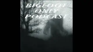 Bigfoot Videos Explained | Truth, Hoaxes & Misidentifications