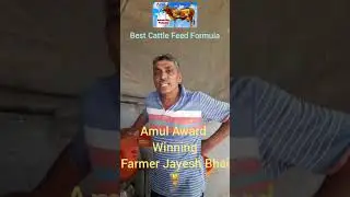 🔥Best Cattle Feed Formula🔥