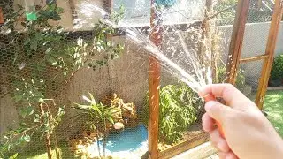 Como refrescar as aves nos dias de muito Calor? Banho de mangueira.