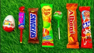 Premium Chocolate ASMR 🍫 | Ferrero, Lindt, Snickers | No Talking