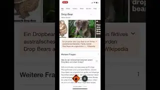 Drop Bears? #dropbears #meme #google #warning