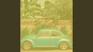 Fun Backdrops for Driving Home