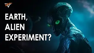 What If Earth Was an Alien Experiment?