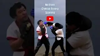 Kung Fu Sparring #tantui #Sanda