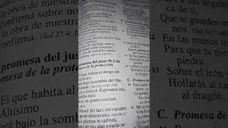 Poderoso salmos 91 (estar&aacute;s protegido de todo mal y peligro)