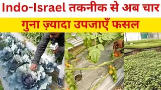 Bihar News: उच्च तकनीकी पौध निर्माण केंद्र | Center of Excellence, Indo-Israel Project | Nalanda