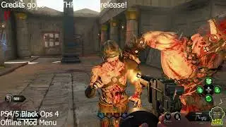 Using A Mod Menu On BO4 PS4/5