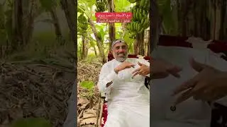  تخيل هذا المراهق انتهت حياته #مفاتيح#احمد_بدوي#هرمون_السعادة#ملهم 