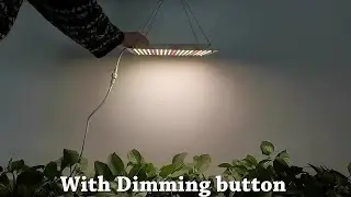 LEDlife Helios Growlight