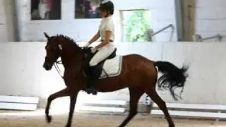 SPRING - UND REITTURNIER 2010 REITGEMEINSCHAFT VIERNHEIM.wmv