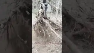 Satisfying Video 🥰 Stump Tree Removal Excavator🌳😱 Ep 09