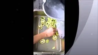 slicing kiwifruit machine onion dicing shredding equipment RAZORFIASH