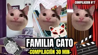 FAMILIA CATO, compilación n°7 de 30 minutos (meme de gatos)