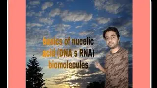 Nucelic acid -DNA s  RNA full cocept.