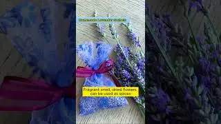 💜High quality lavender seeds💧germinate in 7 days and bloom in 2 months. #Lavender #landscaping