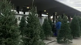 Holiday Markets at Eastern Market on Live in the D