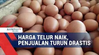 Harga Telur Ayam Naik, Penjualan Menurun Drastis