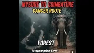 sathyamangalam forest route, mysore to coimbatore travel#forest #mysore #coimbatore #roadtrip#travel