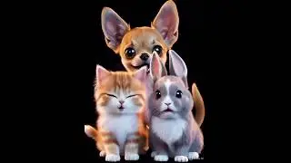 Baby Animal Songs | Співучі Тваринки