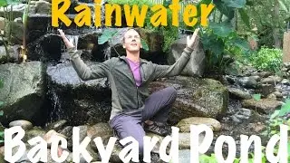 Amazing Backyard Pond, Stream, & Waterfall Uses 100% Rainwater in the Desert