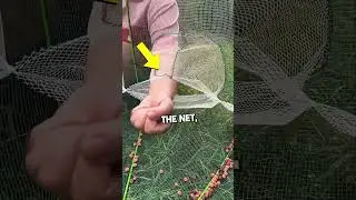 Advanced Fishnet 🤯