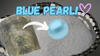 First EVER baby Blue Pearl! (Reveal 17107 -17128)