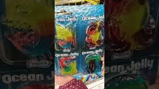 #animal #ocean #jelly #shorts #asmr  #short #shortvideo #scotland #uk