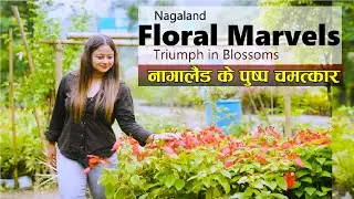 Floral Marvels of Nagaland I Nature & Flowers