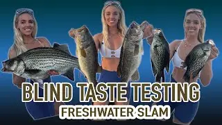 Blind Taste Testing - Large Mouth, Crappie, Striped Bass