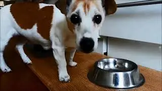 Always hungry