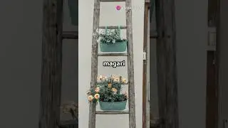 CETRIOLI VERTICALI:  Il Segreto per coltivarli sul Balcone