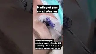 Brushing lash extensions Brushing lashes asmr brushing lashes when wet brushing lashes  lash artist