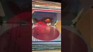 Some of my RARE Roky Erickson Vinyl! #shorts #vinyl #13thFloorElevators