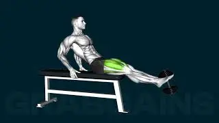 How to do the Dumbbell Sitting Leg Extension | GrabGains