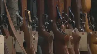 What are the guns laws in Missouri?