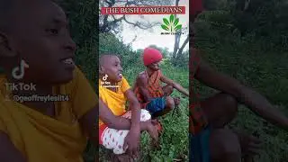 THE BUSH COMEDIANS