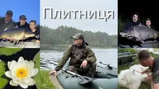 Нерестова риболовля коропа на Озері Плитниця