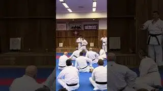 Watanabe-Sensei demonstrates the combination tobikonde ageuke maeashi maegeri gyakuzuki  #karate #空手