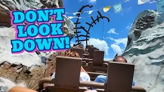Is Expedition Everest Too Scary? | POV: Facing the Yeti at Disney&rsquo;s Animal Kingdom