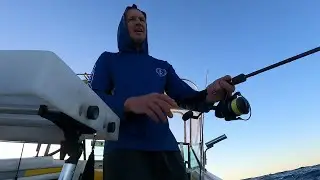 Fishing Australia How I Target Snapper Inshore